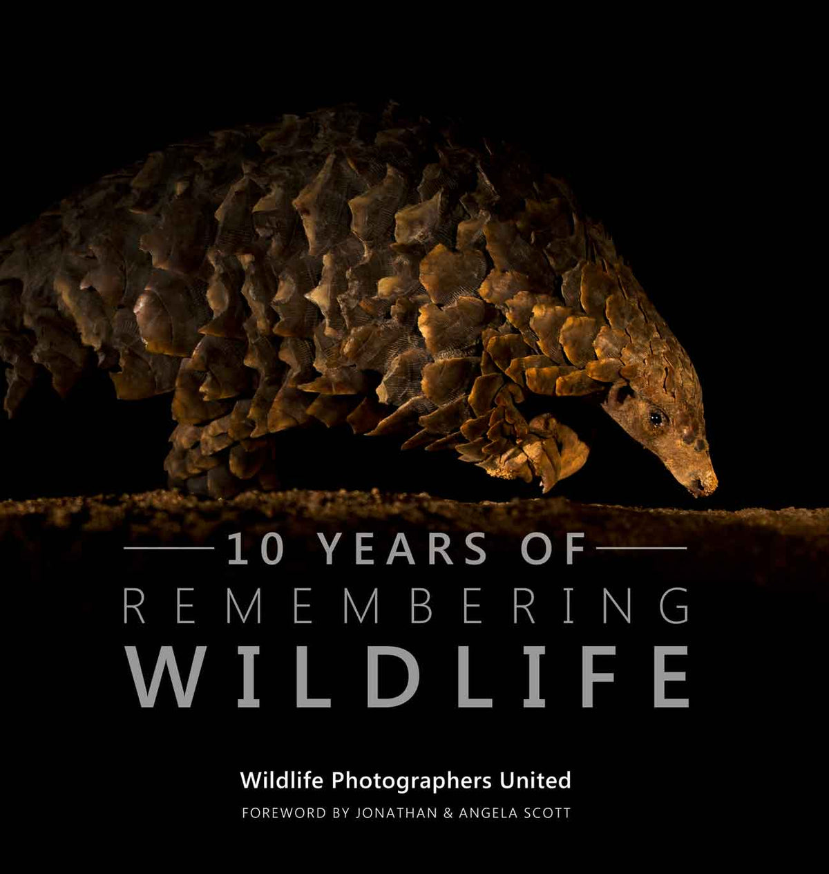 10 Years of Remembering Wildlife - HPH Publishing South Africa