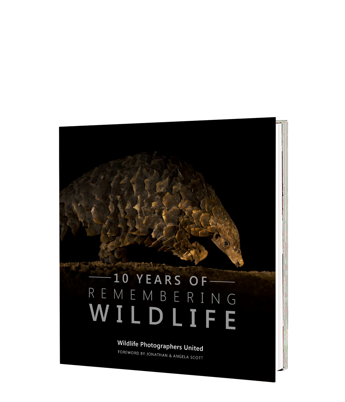 10 Years of Remembering Wildlife - HPH Publishing South Africa