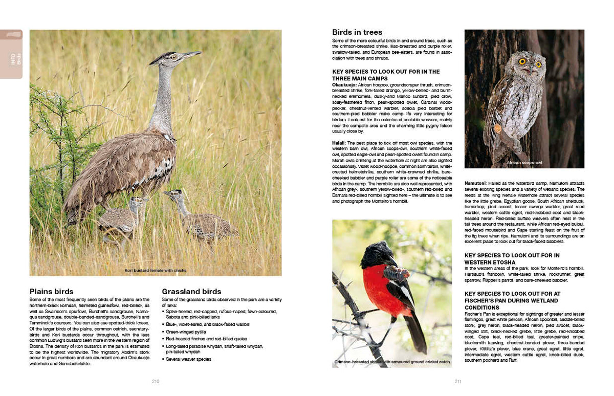 Etosha Self-Drive – Routes, Roads and Ratings - HPH Publishing South Africa