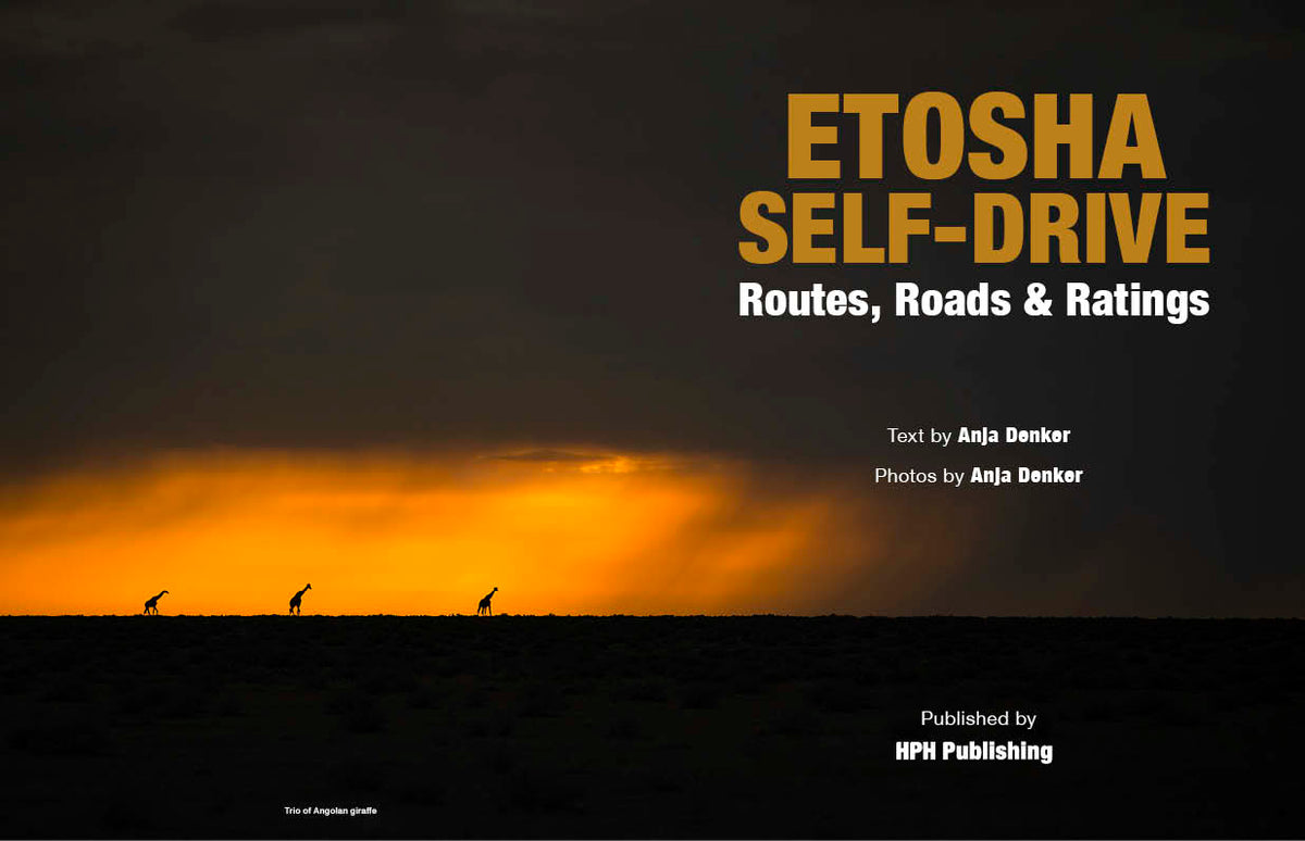 Etosha Self-Drive – Routes, Roads and Ratings - HPH Publishing South Africa