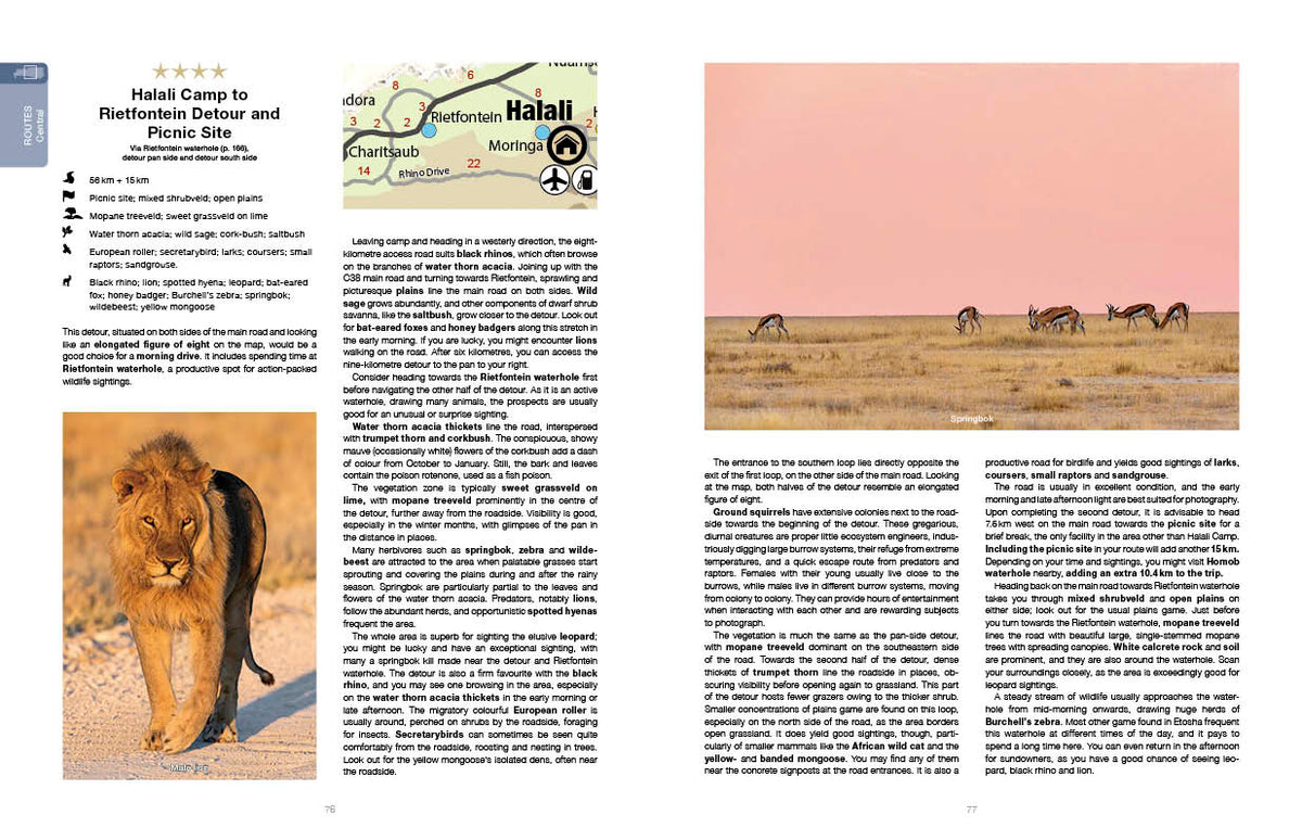 Etosha Self-Drive – Routes, Roads and Ratings - HPH Publishing South Africa