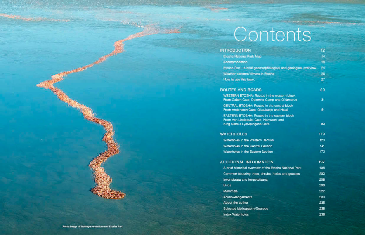Etosha Self-Drive – Routes, Roads and Ratings - HPH Publishing South Africa