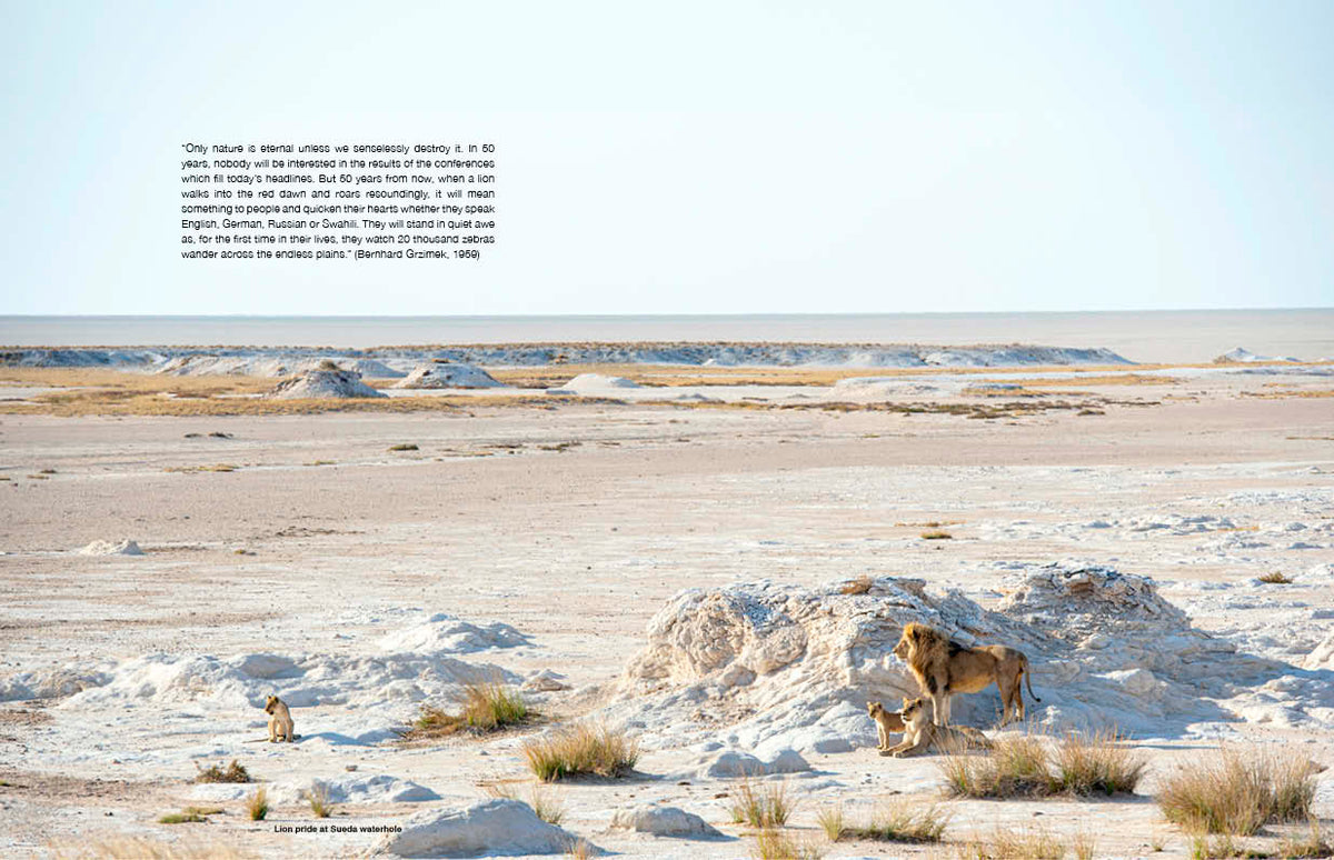 Etosha Self-Drive – Routes, Roads and Ratings - HPH Publishing South Africa