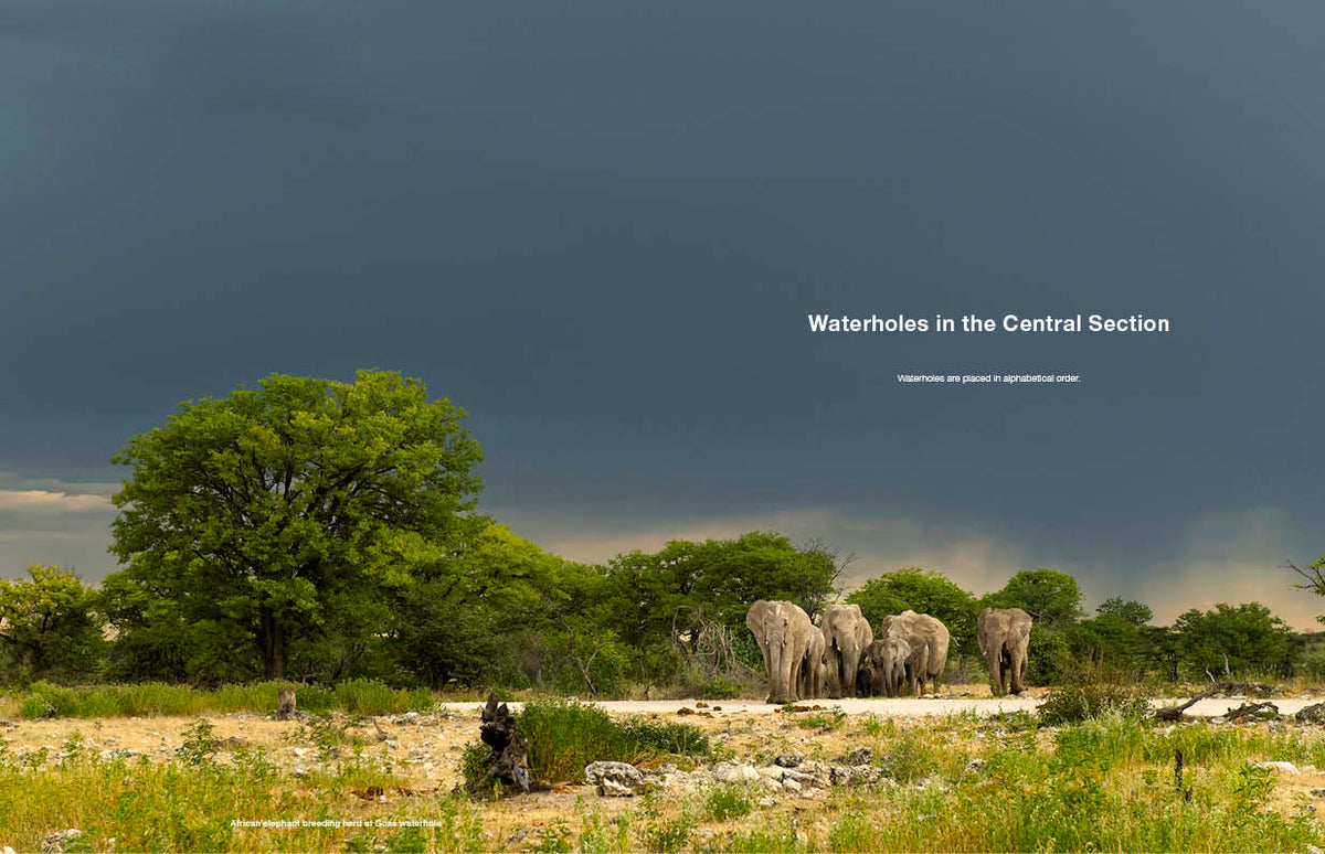 Etosha Self-Drive – Routes, Roads and Ratings - HPH Publishing South Africa