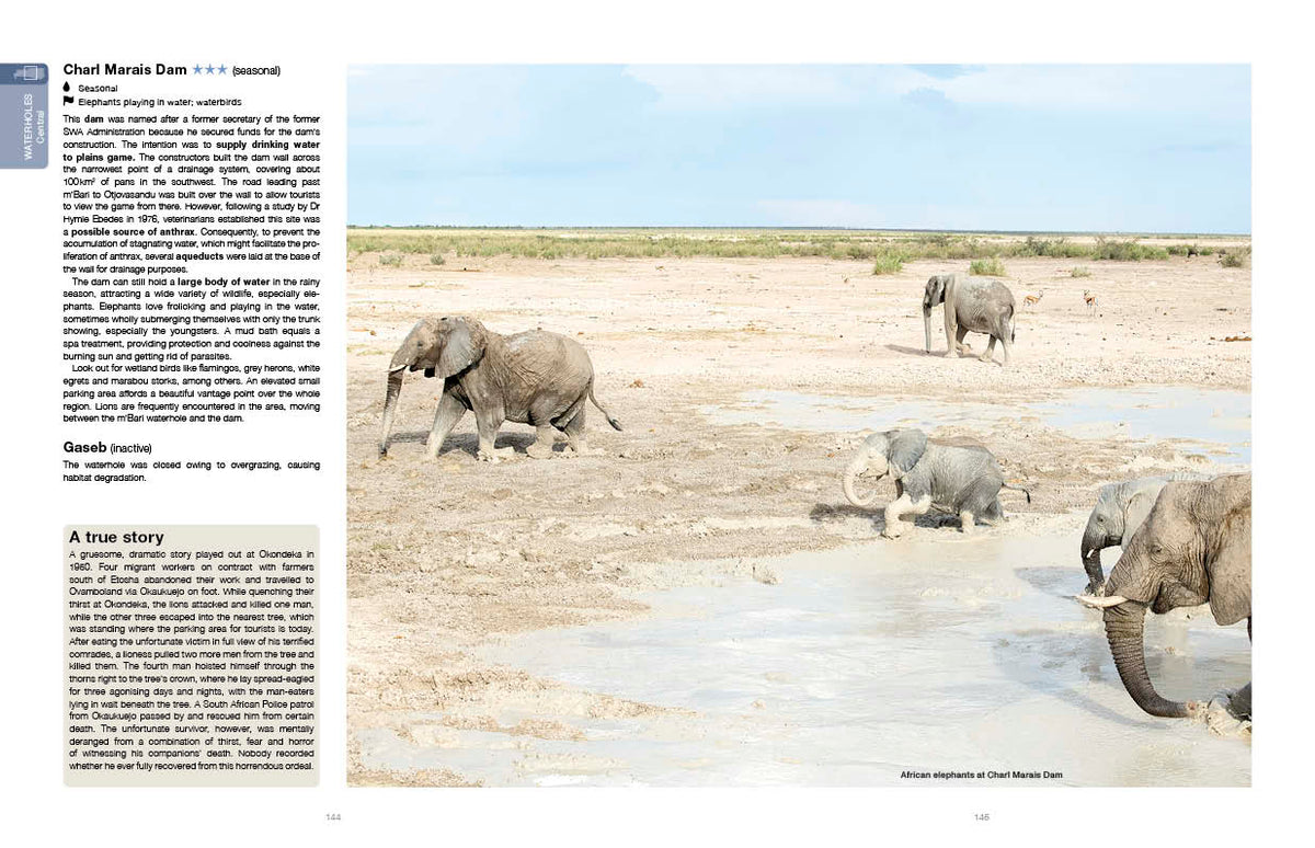 Etosha Self-Drive – Routes, Roads and Ratings - HPH Publishing South Africa