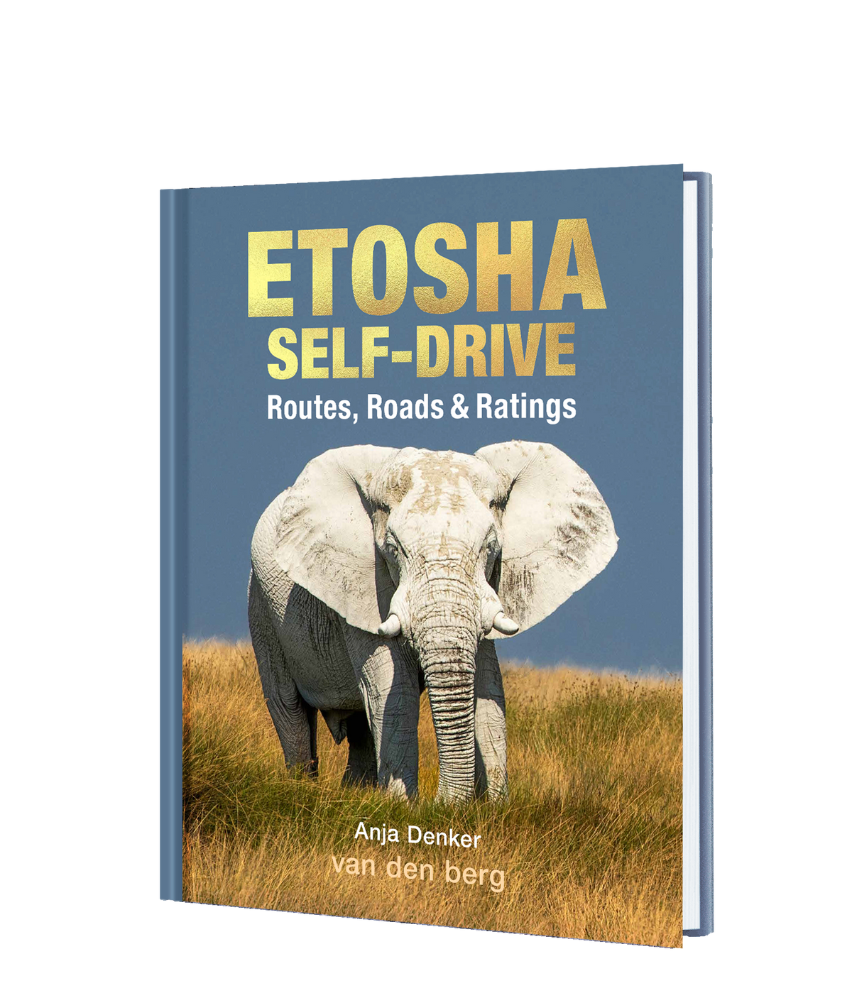 Etosha Self-Drive – Routes, Roads and Ratings - HPH Publishing South Africa