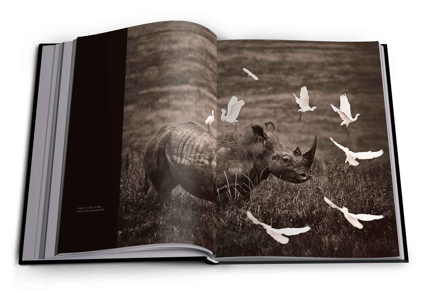 Reflection – Pocket Edition - HPH Publishing South Africa