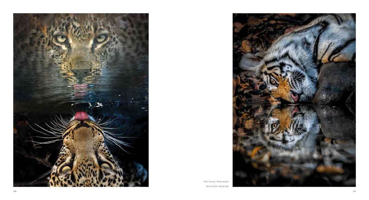 10 Years of Remembering Wildlife - HPH Publishing South Africa