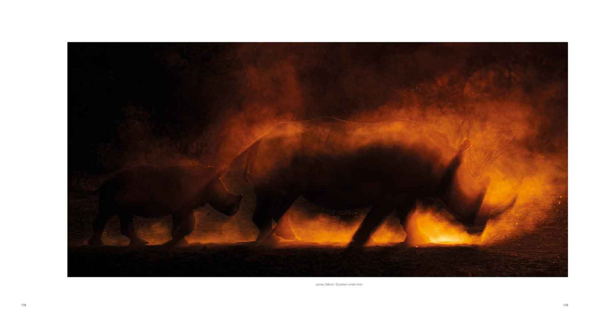 10 Years of Remembering Wildlife - HPH Publishing South Africa