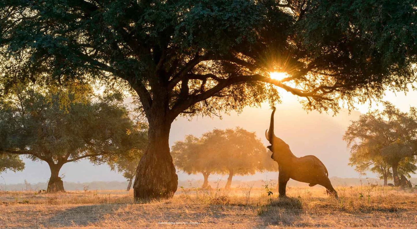 The Rift – Scar of Africa