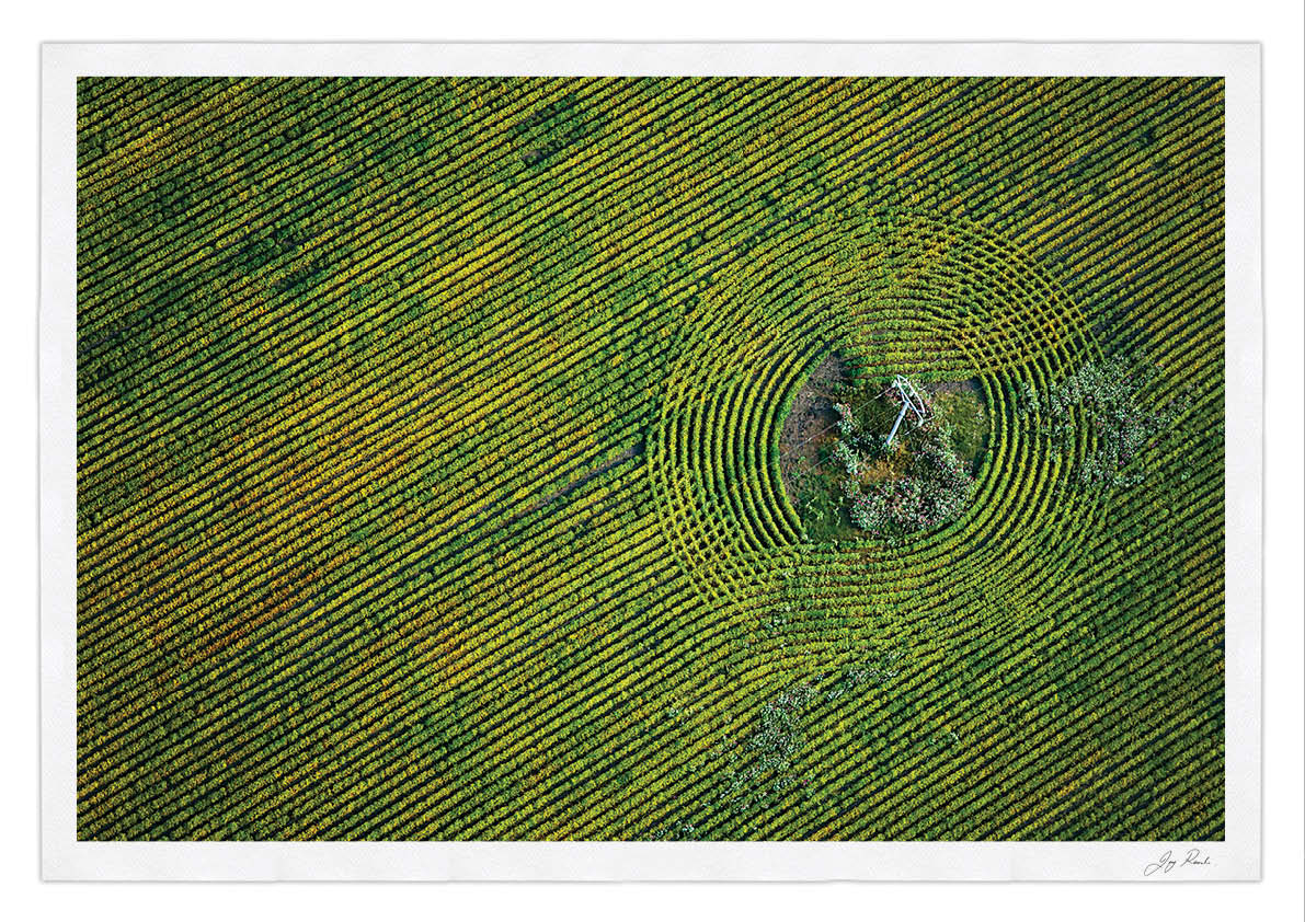 Mysteries in the Maize - HPH Publishing South Africa