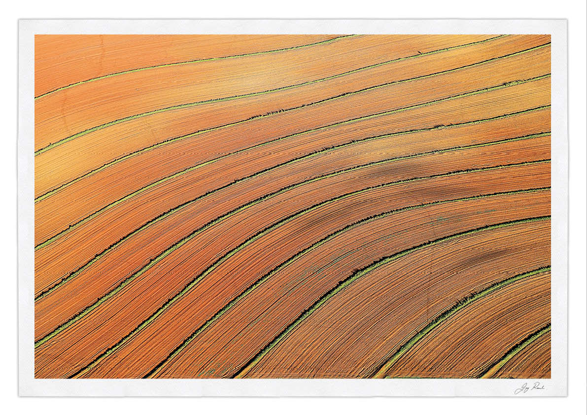 Zen lines - HPH Publishing South Africa