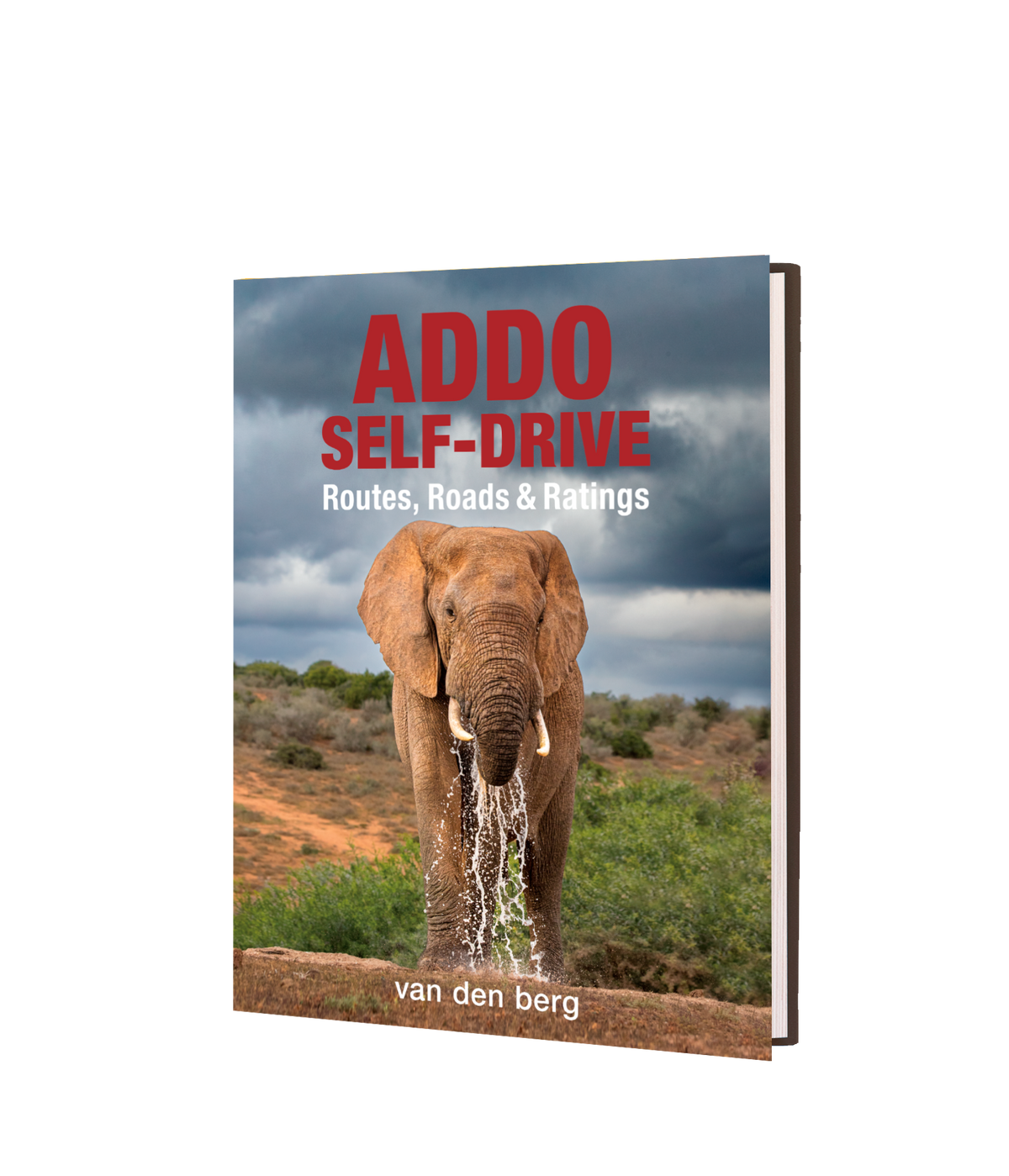 Addo Self-Drive – Routes, Roads and Ratings - HPH Publishing South Africa