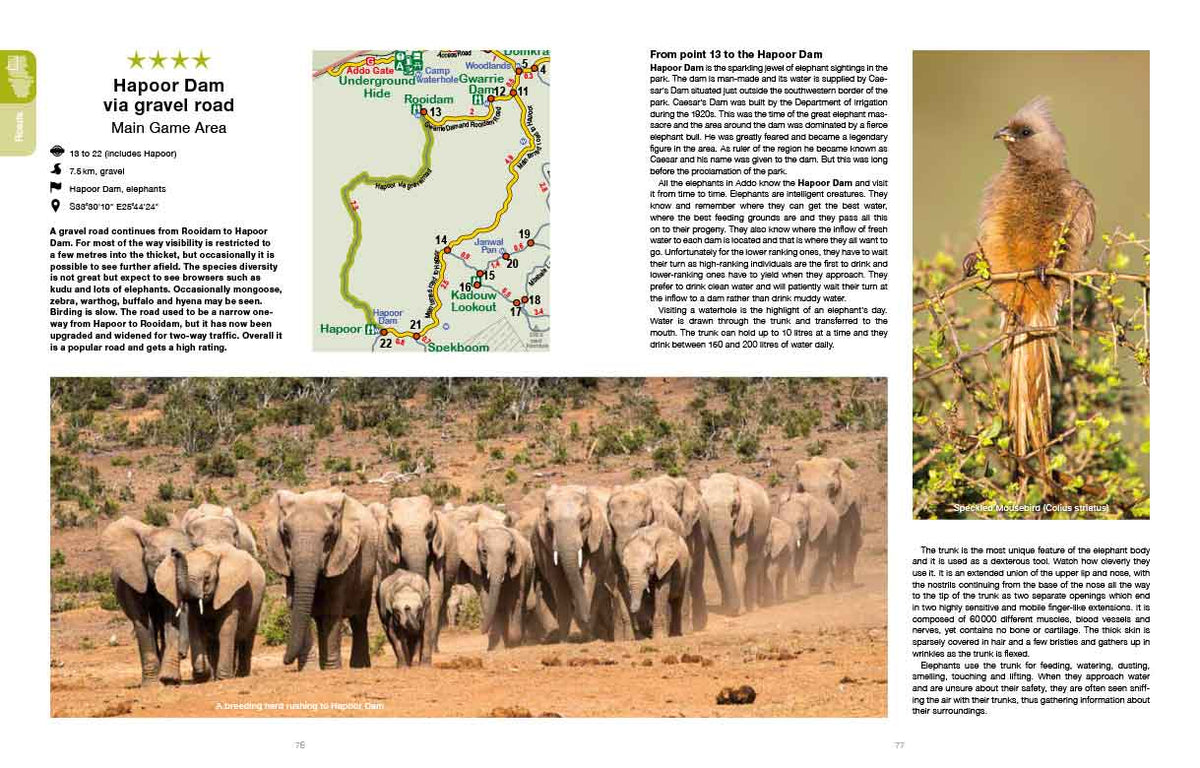 Addo Self-Drive – Routes, Roads and Ratings - HPH Publishing South Africa
