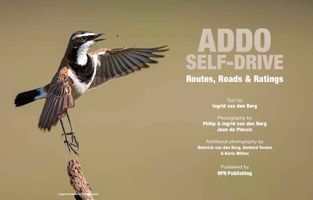 Addo Self-Drive – Routes, Roads and Ratings - HPH Publishing South Africa