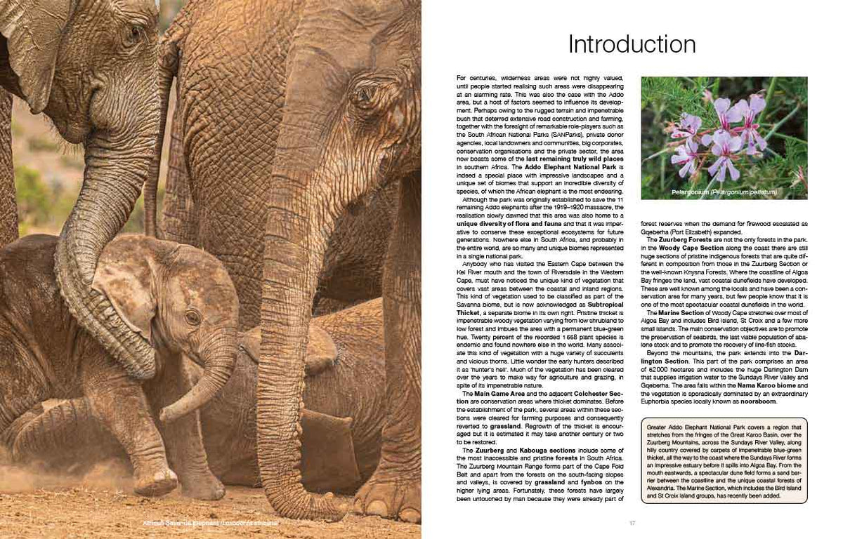 Addo Self-Drive – Routes, Roads and Ratings - HPH Publishing South Africa