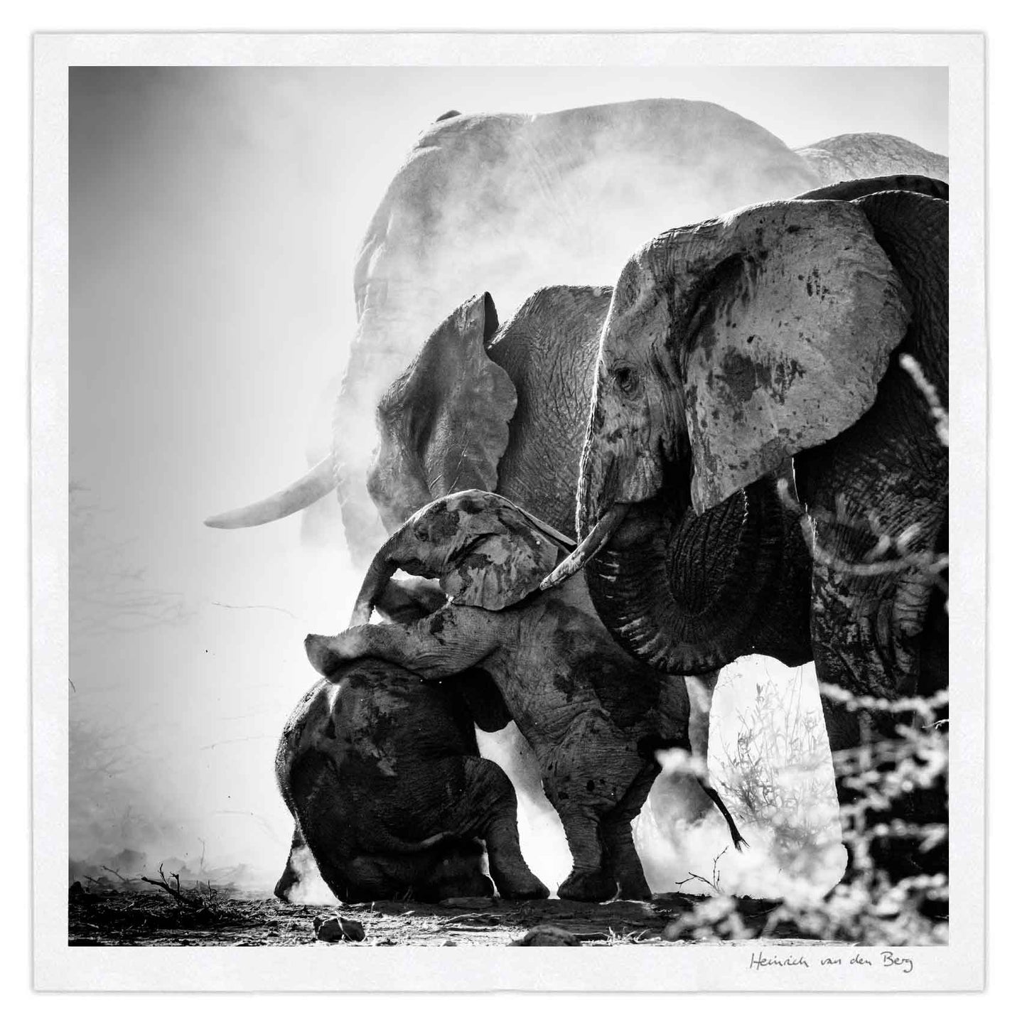 Elephant Ghost 2 - HPH Publishing South Africa