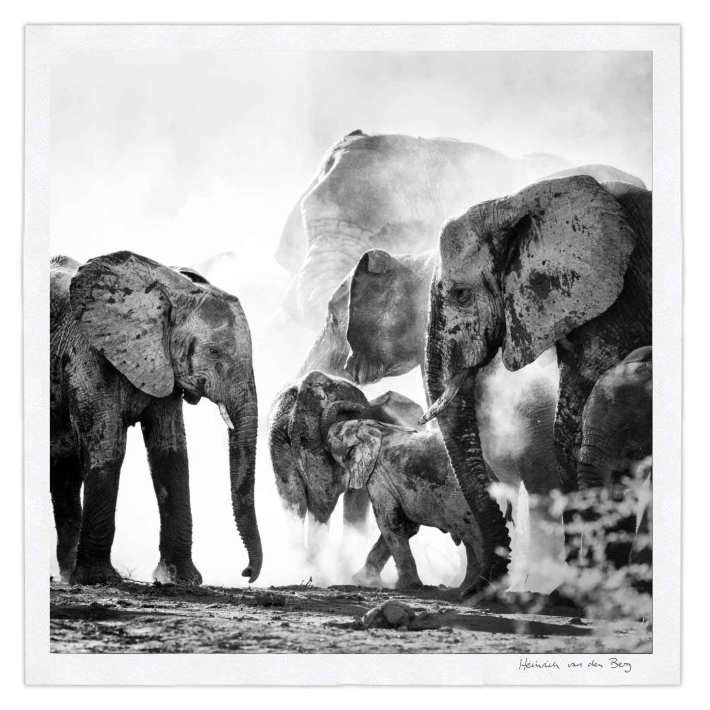 Elephant Ghost 6 - HPH Publishing South Africa