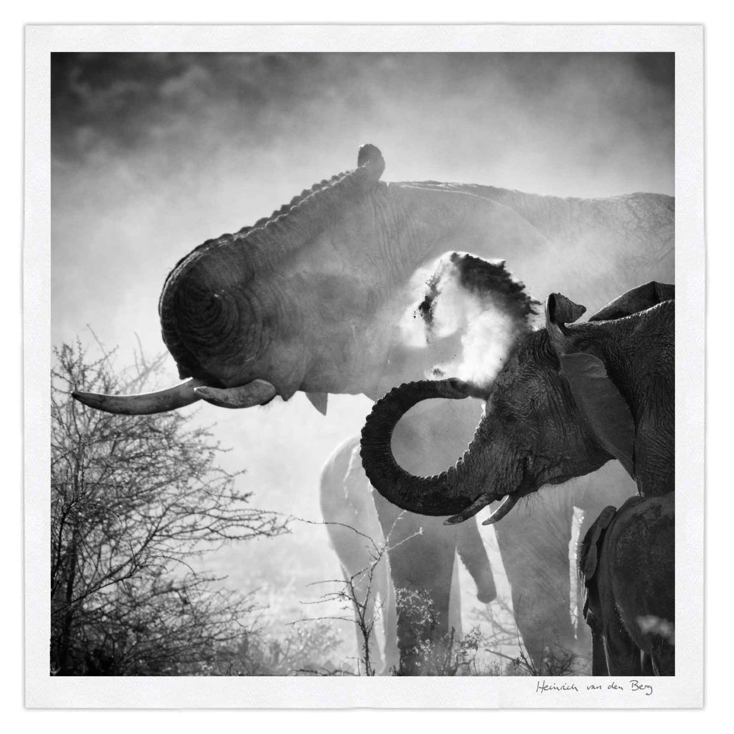 Elephant Ghost 5 - HPH Publishing South Africa