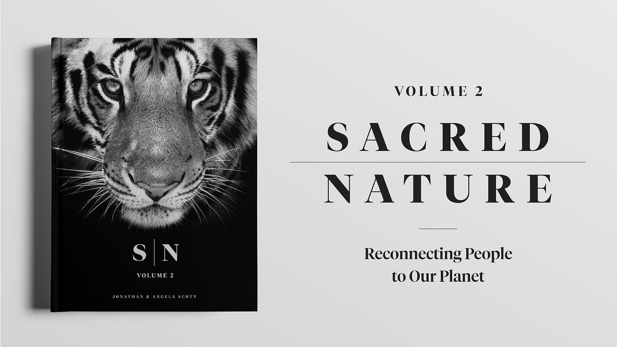 Sacred Nature 2: Reconnecting People to Our Planet - HPH Publishing South Africa