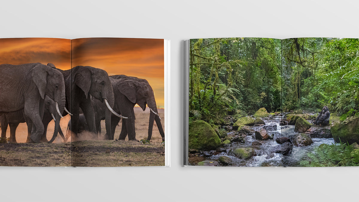 Sacred Nature 2: Reconnecting People to Our Planet - HPH Publishing South Africa