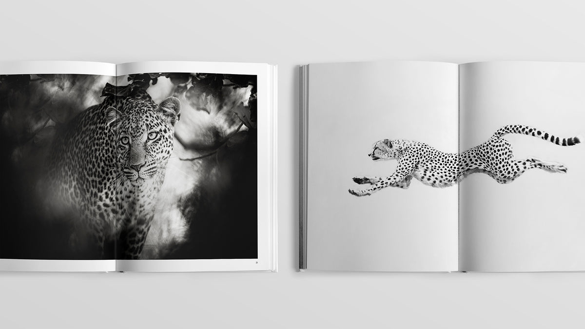 Sacred Nature 2: Reconnecting People to Our Planet - HPH Publishing South Africa