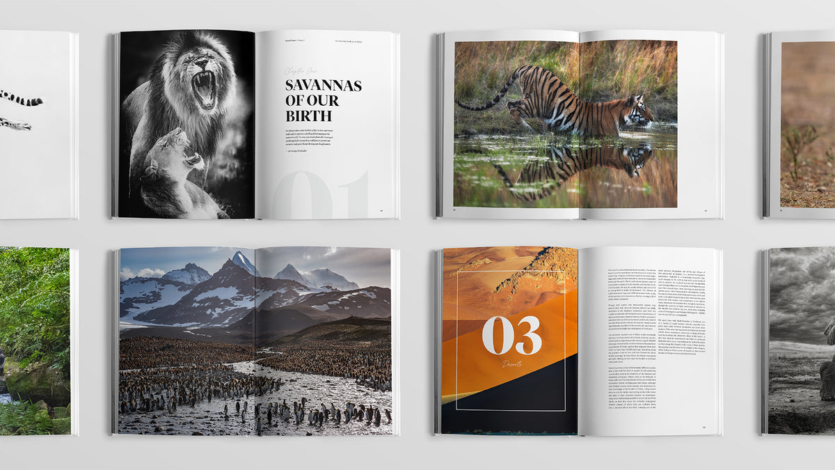 Sacred Nature 2: Reconnecting People to Our Planet - HPH Publishing South Africa