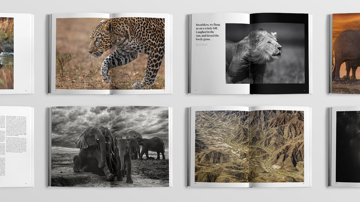 Sacred Nature 2: Reconnecting People to Our Planet - HPH Publishing South Africa