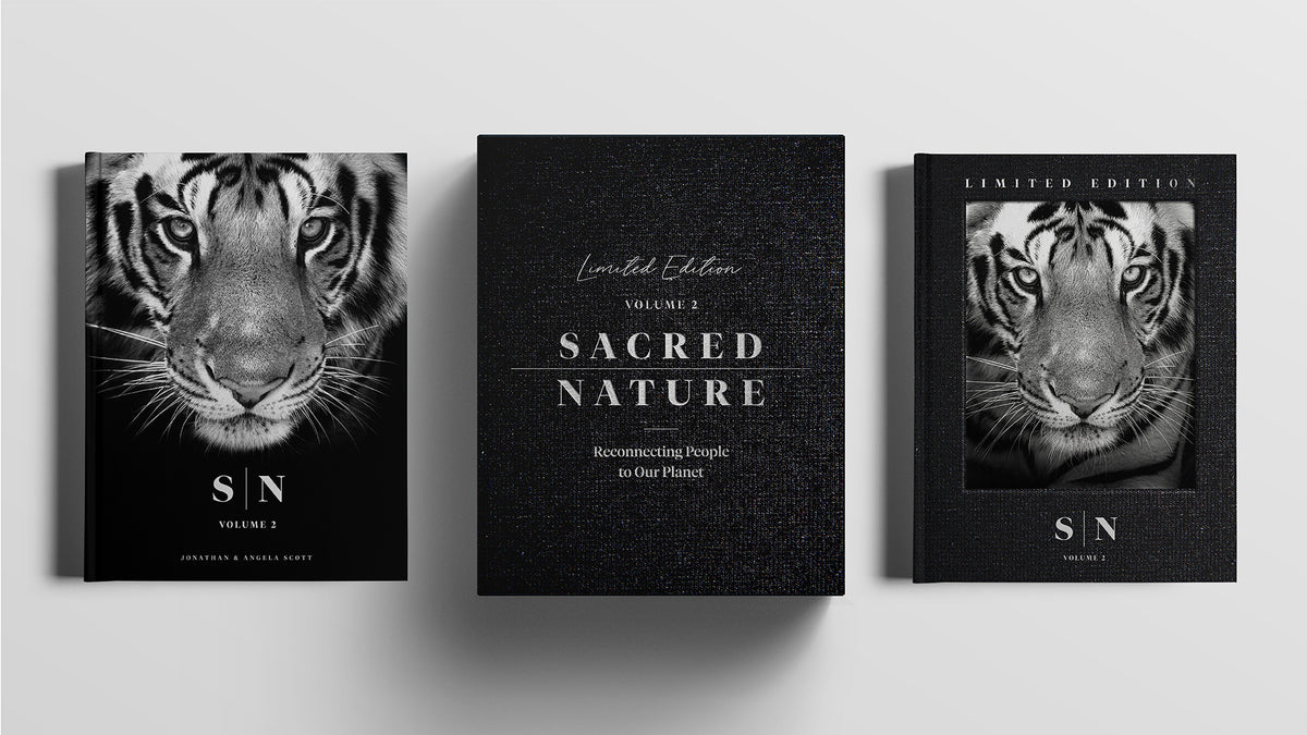 Sacred Nature 2: Reconnecting People to Our Planet - HPH Publishing South Africa