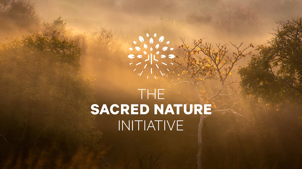 Sacred Nature 2: Reconnecting People to Our Planet - HPH Publishing South Africa