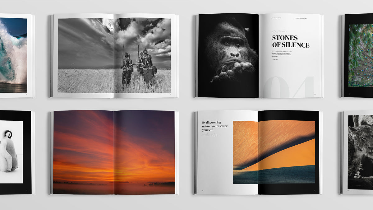 Sacred Nature 2: Reconnecting People to Our Planet - HPH Publishing South Africa