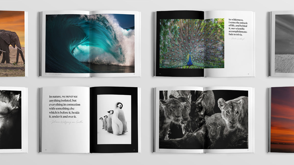 Sacred Nature 2: Reconnecting People to Our Planet - HPH Publishing South Africa