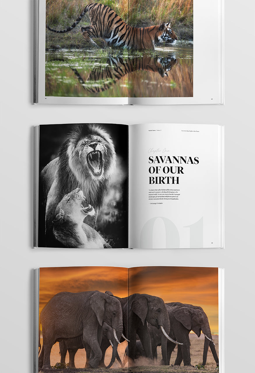 Sacred Nature 2: Reconnecting People to Our Planet - HPH Publishing South Africa