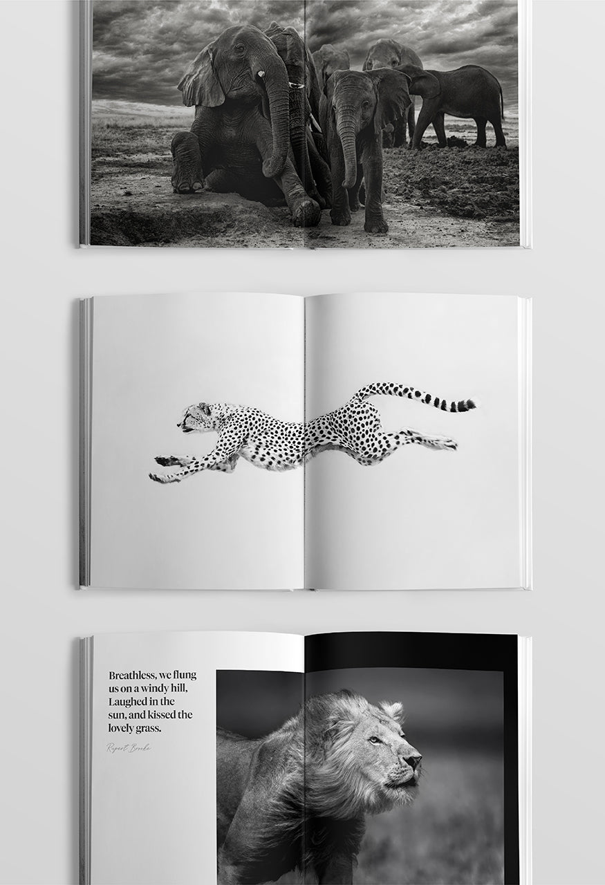 Sacred Nature 2: Reconnecting People to Our Planet - HPH Publishing South Africa