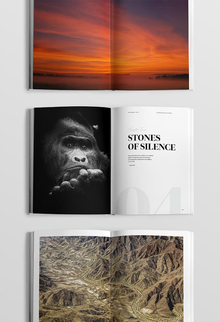 Sacred Nature 2: Reconnecting People to Our Planet - HPH Publishing South Africa