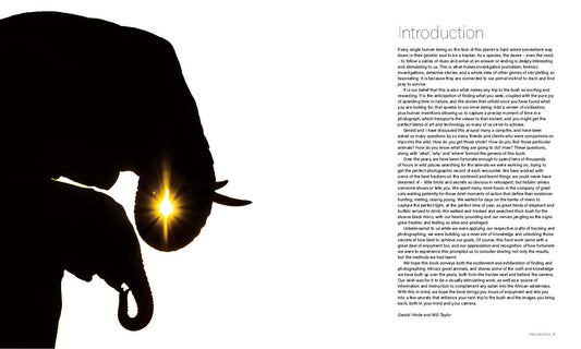 Safari Secrets – The Big Five