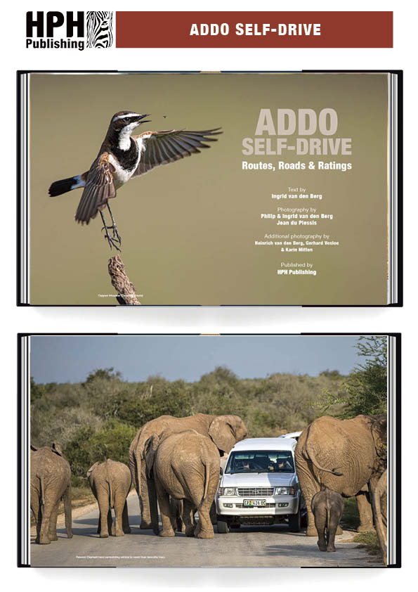 Addo Self-Drive – Routes, Roads and Ratings - HPH Publishing South Africa