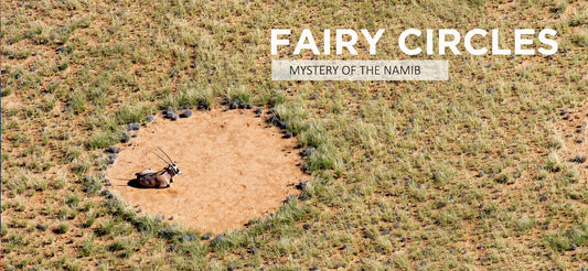 Fairy Circles