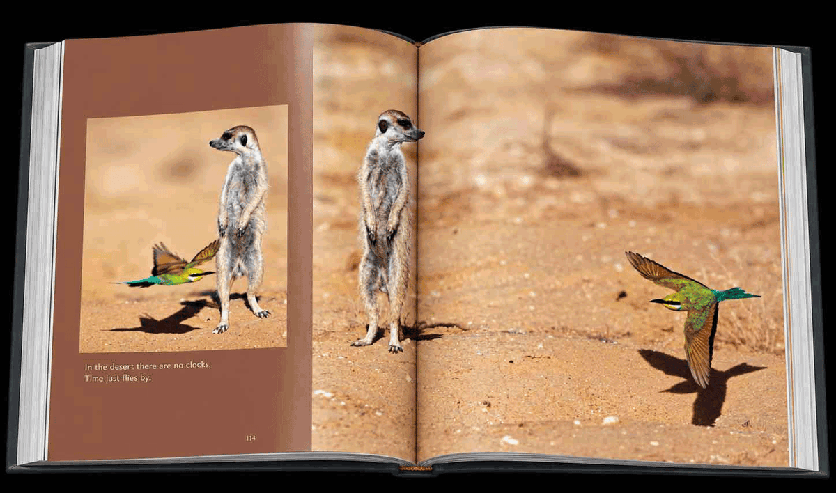 Reflection – Compact Edition - HPH Publishing South Africa
