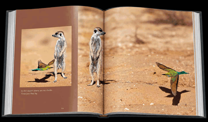 Reflection – Compact Edition - HPH Publishing South Africa