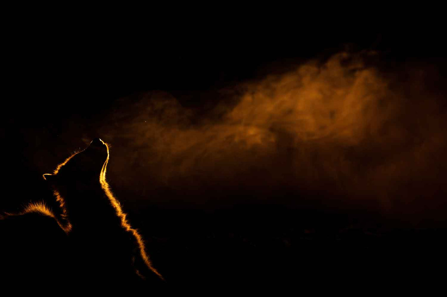 Eden - Soul of Africa