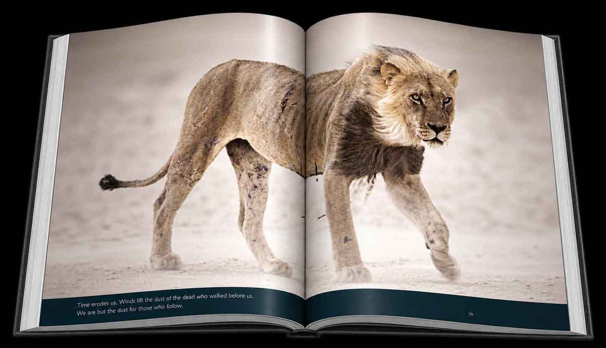 Reflection – Compact Edition - HPH Publishing South Africa