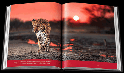 Reflection – Compact Edition - HPH Publishing South Africa