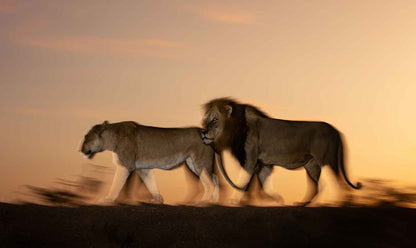 Eden - Soul of Africa