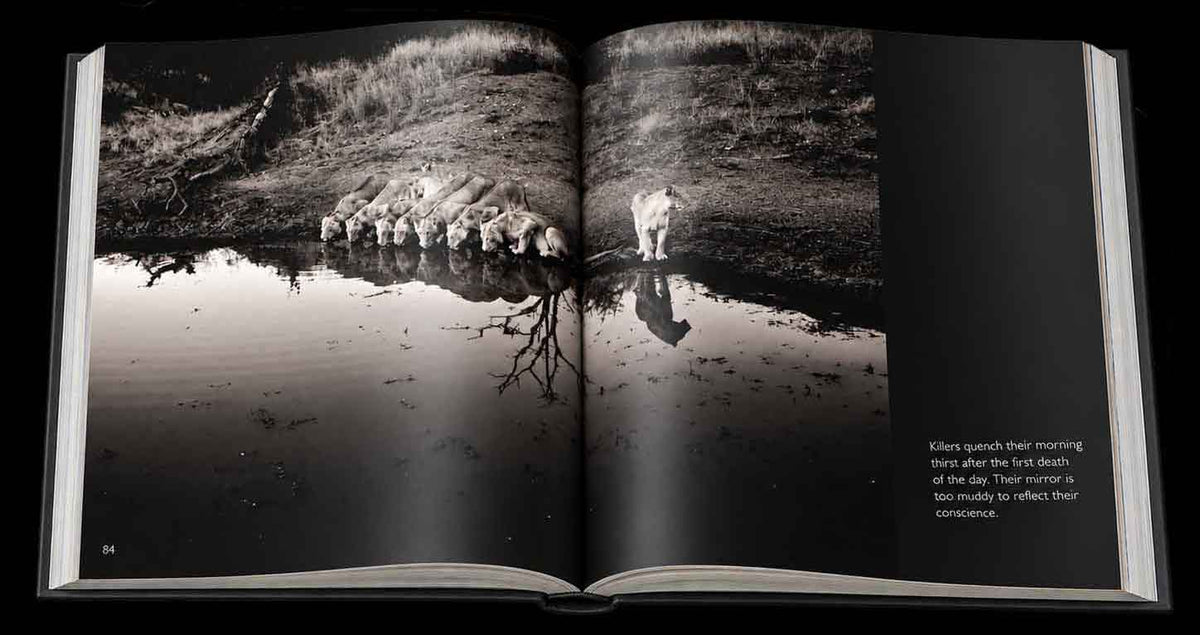 Reflection – Compact Edition - HPH Publishing South Africa