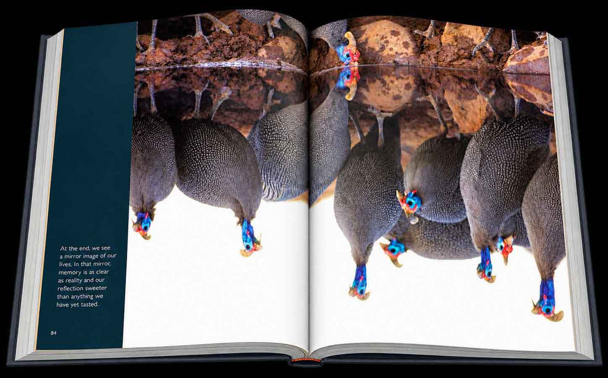 Reflection – Compact Edition - HPH Publishing South Africa