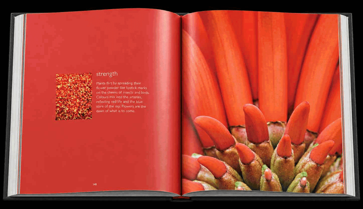 Reflection – Compact Edition - HPH Publishing South Africa