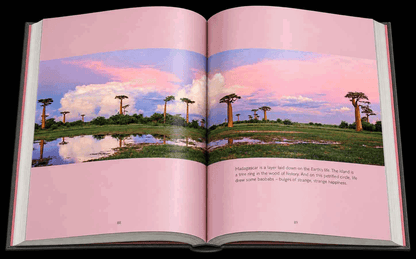 Reflection – Compact Edition - HPH Publishing South Africa