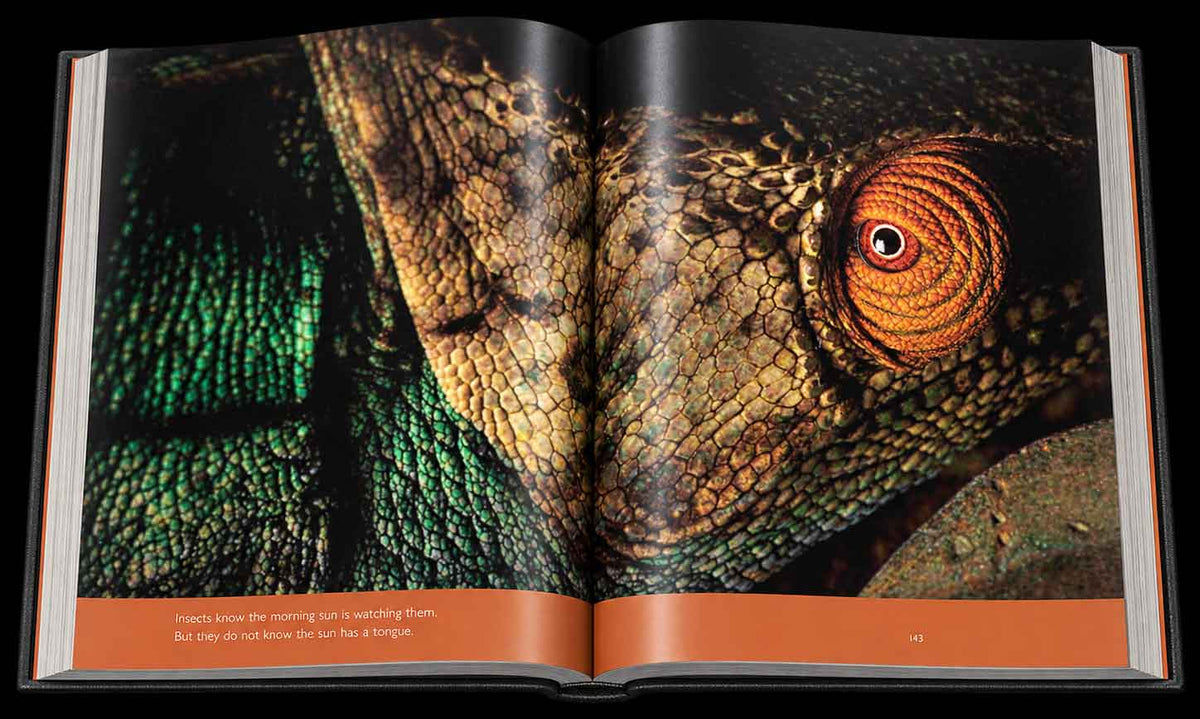 Reflection – Compact Edition - HPH Publishing South Africa