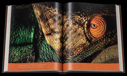 Reflection – Compact Edition - HPH Publishing South Africa